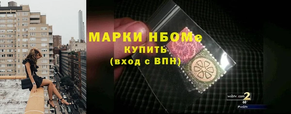 хмурый Нея