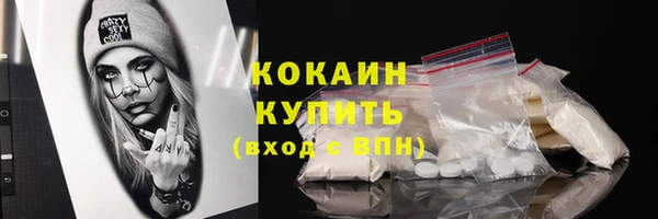 хмурый Нея