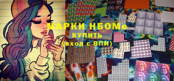 хмурый Нея
