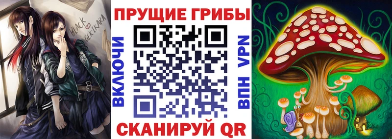 Псилоцибиновые грибы Psilocybine cubensis  Купить закладки  Киреевск 